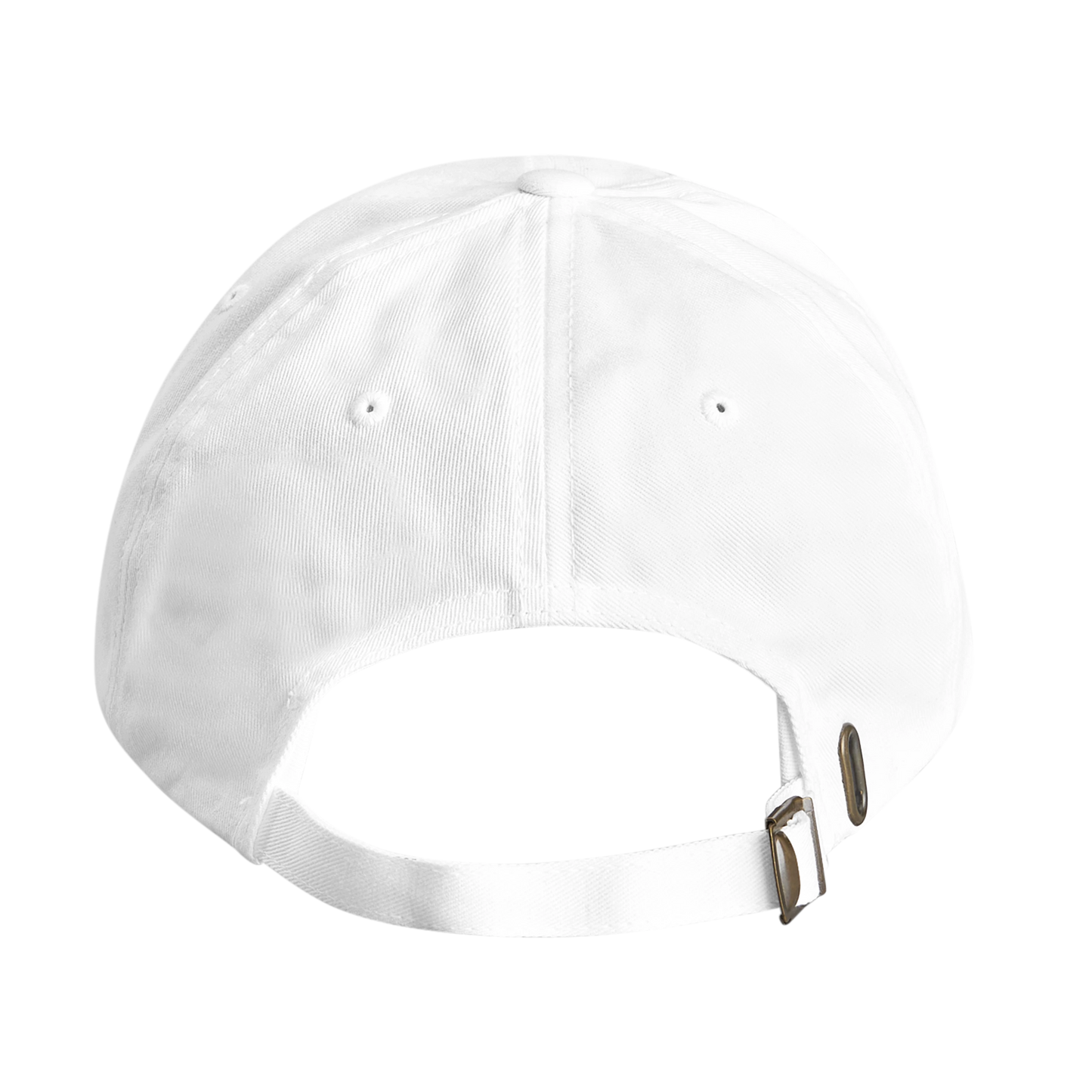 Passholder Society Cap