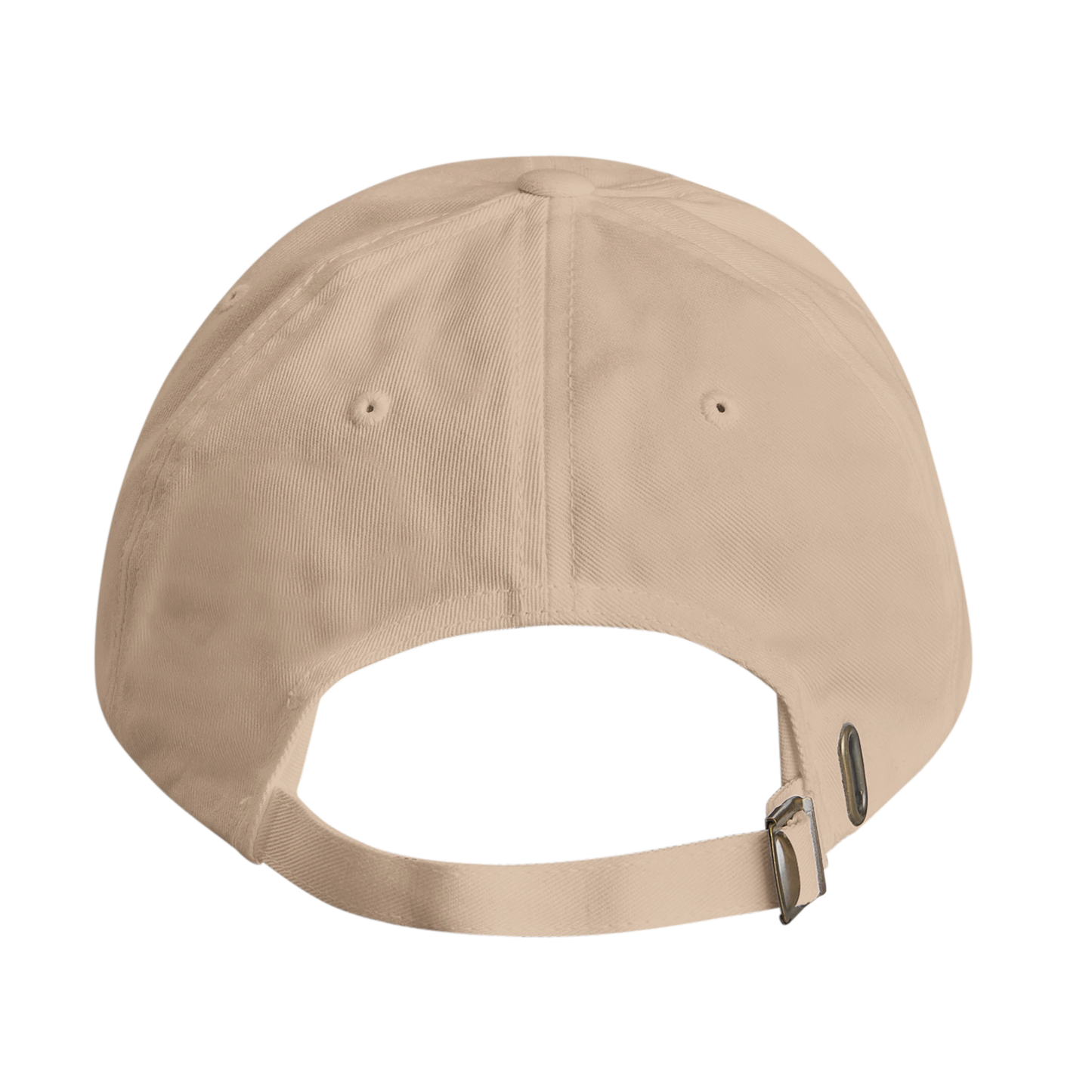 Passholder Society Cap